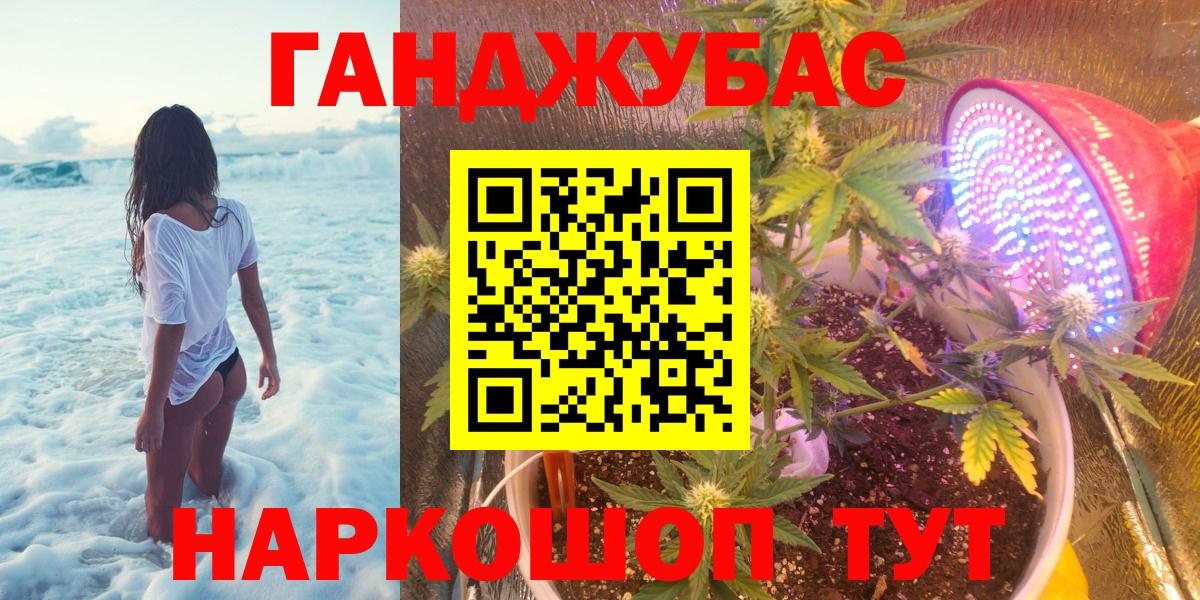 Бошки Шишки индика  Конопля конопля  Благодарный  Вход с VPN 